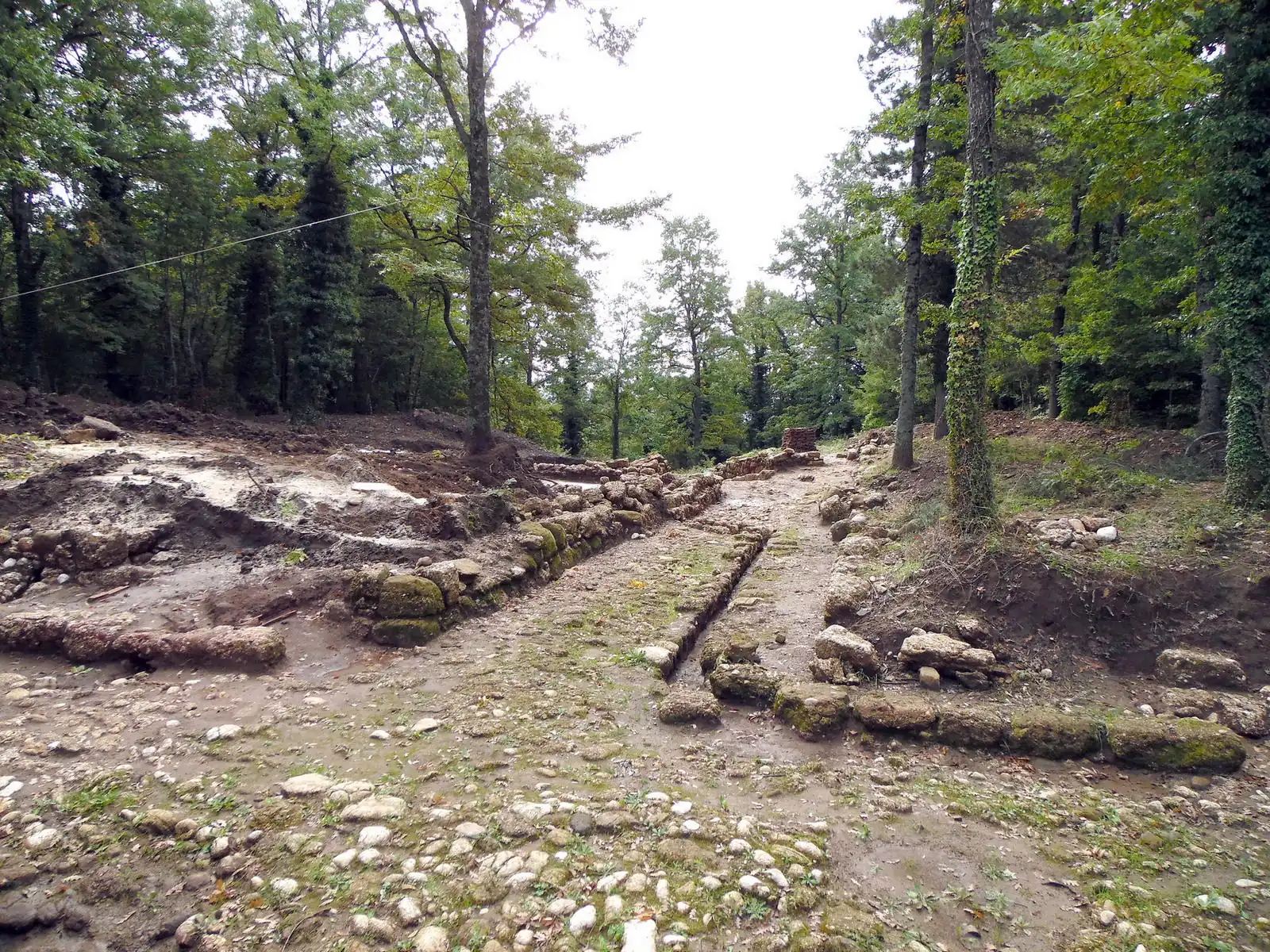 Bosco Faiete si prepara ad accogliere il Festival della Natura e del Territorio