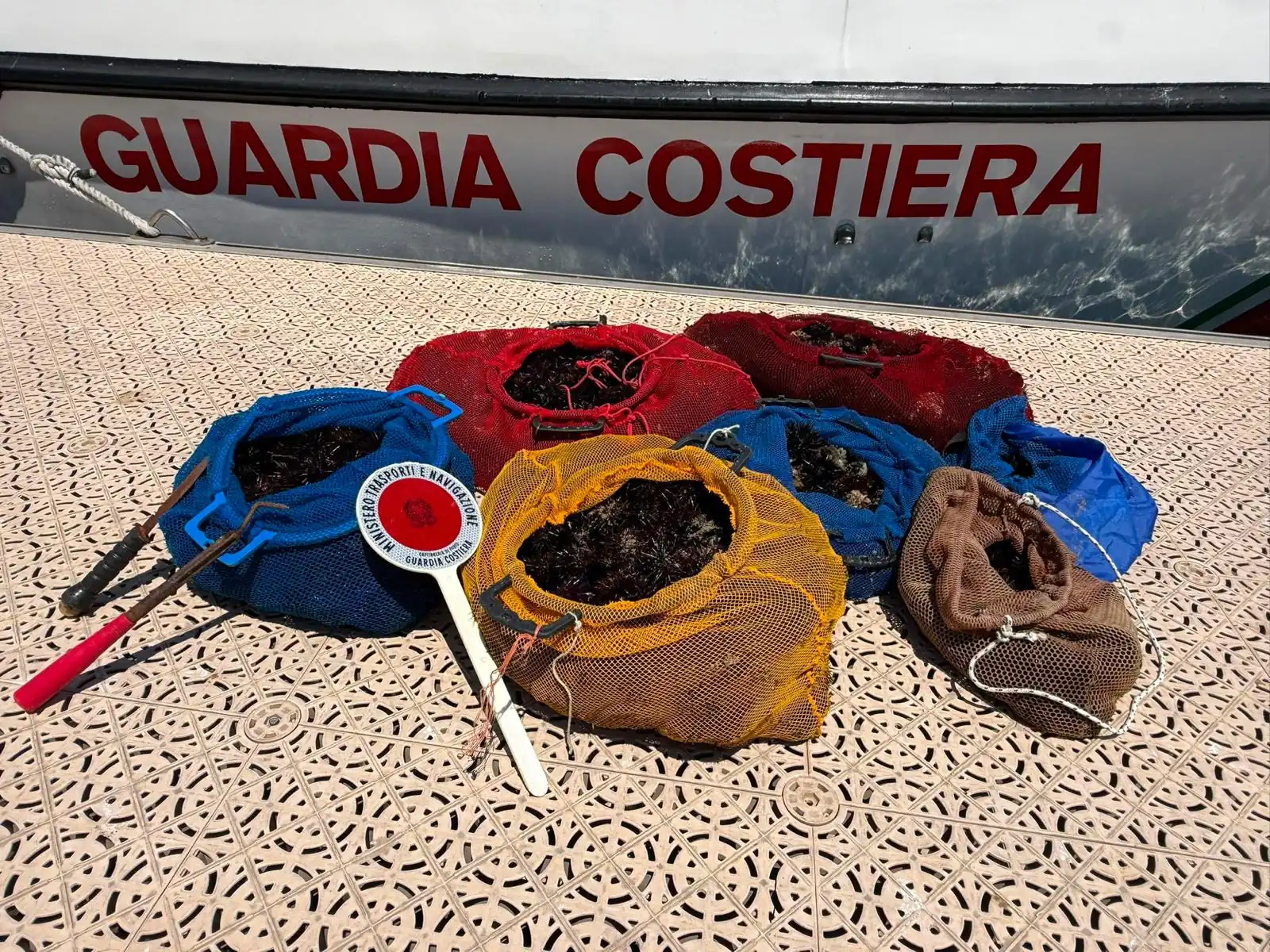 Termoli: la Guardia Costiera sequestra un quintale di ricci di mare