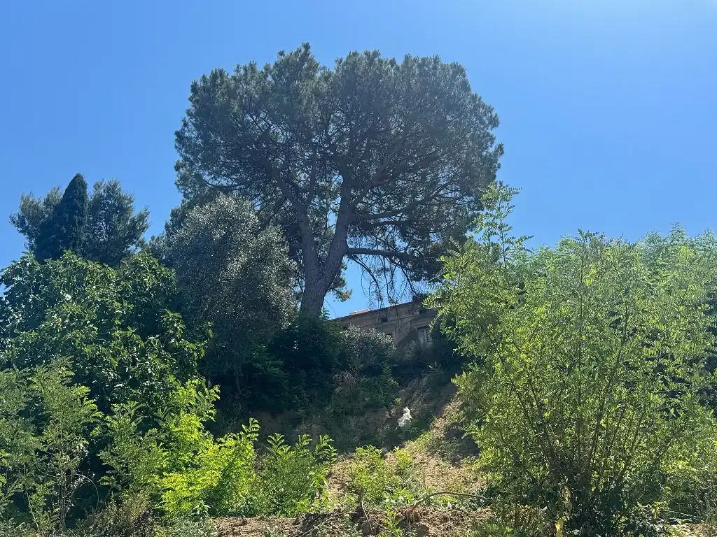 Larino, frana al parcheggio di via Circonvallazione: opposizione attacca la maggioranza