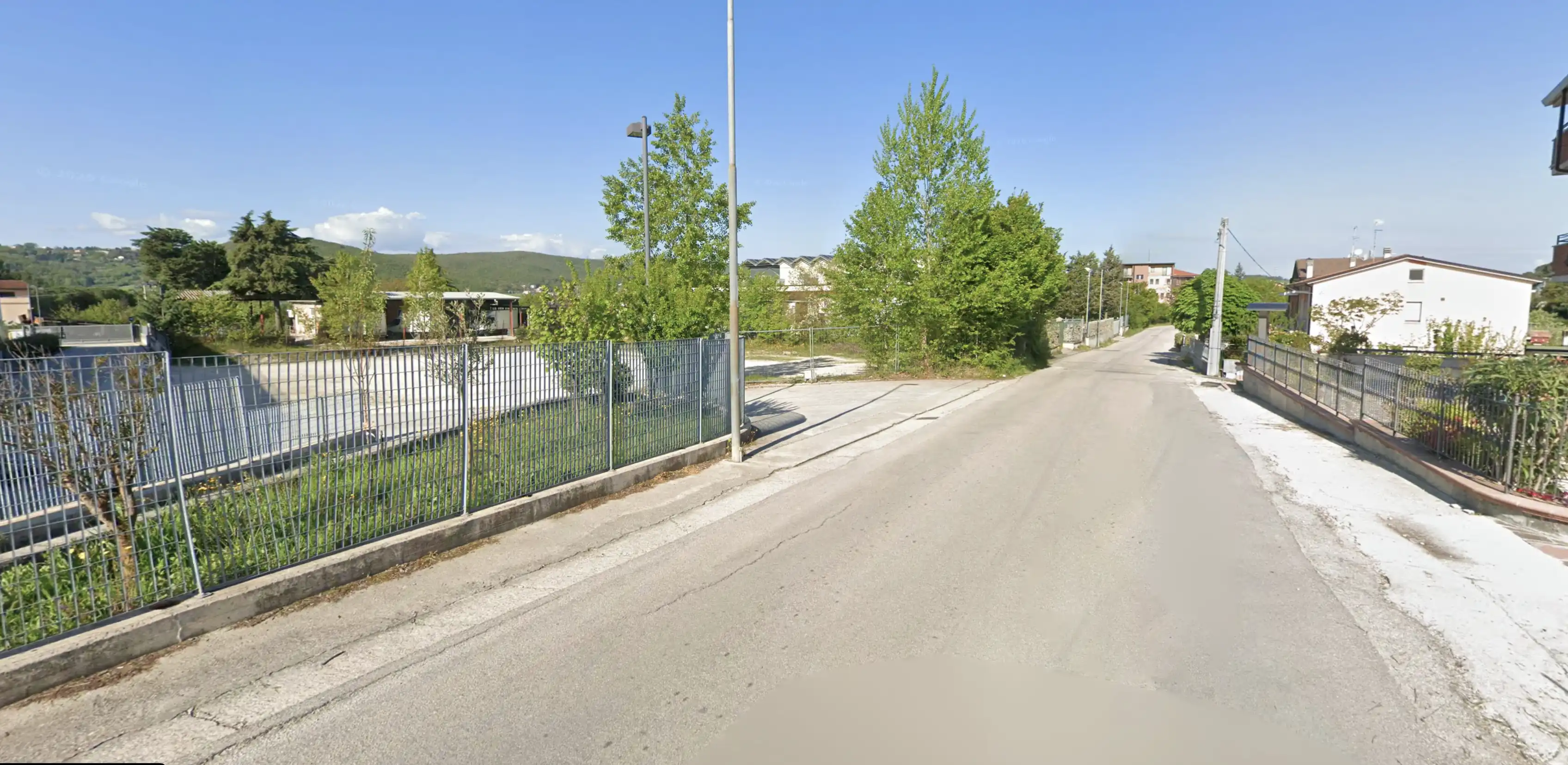 Campobasso, scappati due labrador nella zona dell'ex Roseto: appello per ritrovarli