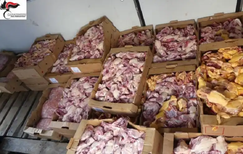 Sequestrati in Molise 400 chili di alimenti non tracciati a base carne immessi sul mercato