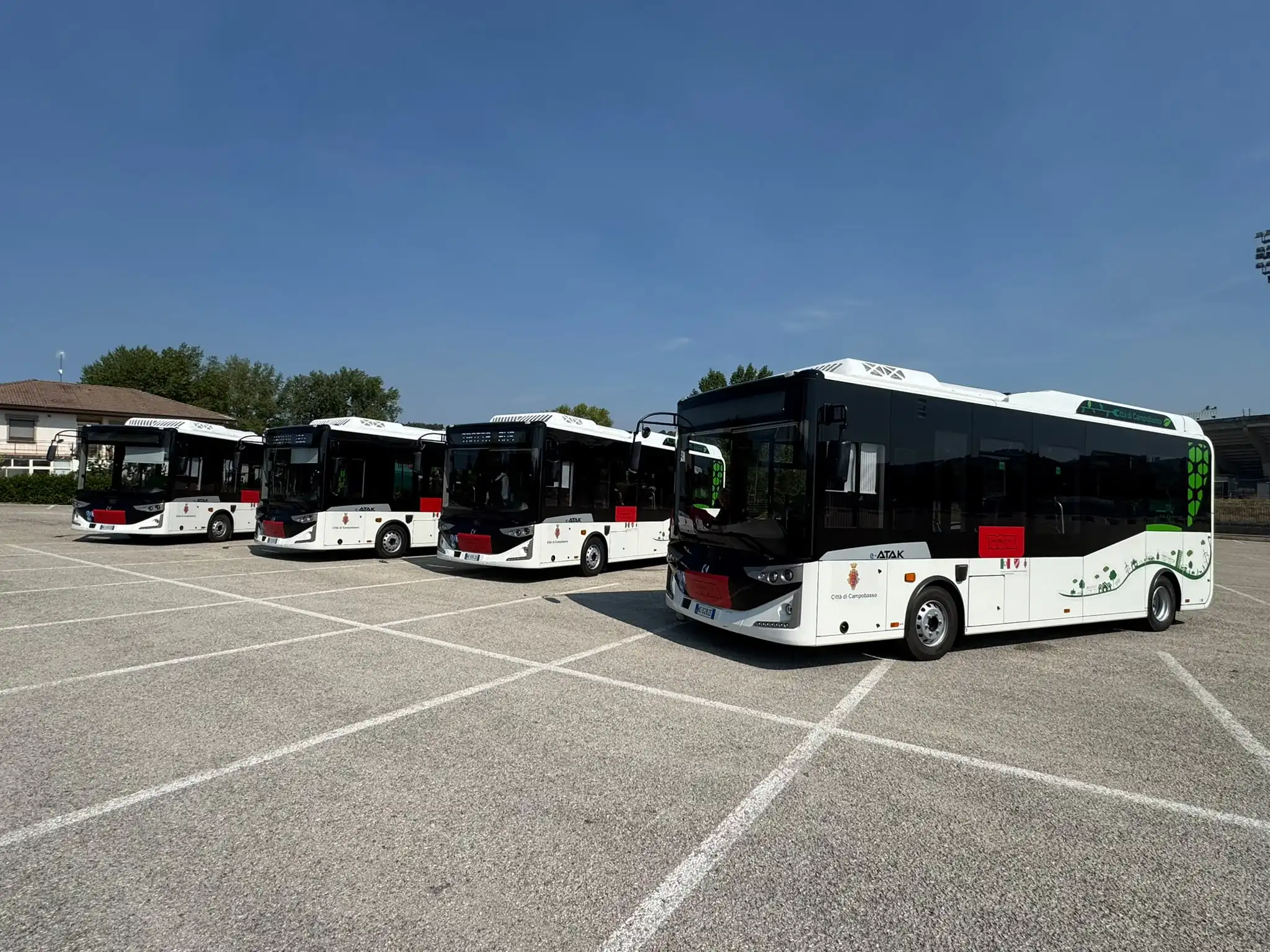 Campobasso rinnova il trasporto urbano: sei nuovi bus elettrici in strada ad agosto