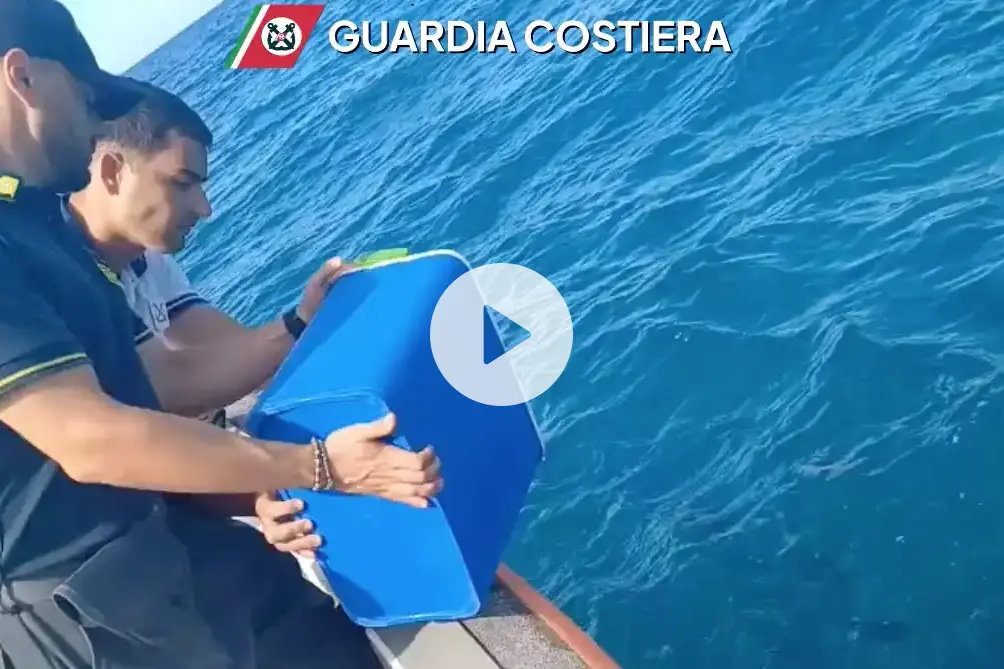 Pesca illegale di ricci di mare: scatta una multa da 1.000 euro
