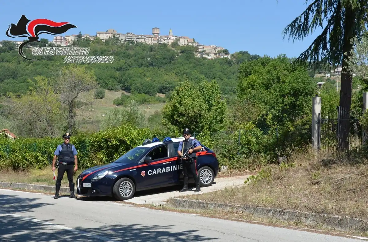 Immigrazione clandestina: 30 arresti, blitz anche in provincia di Campobasso