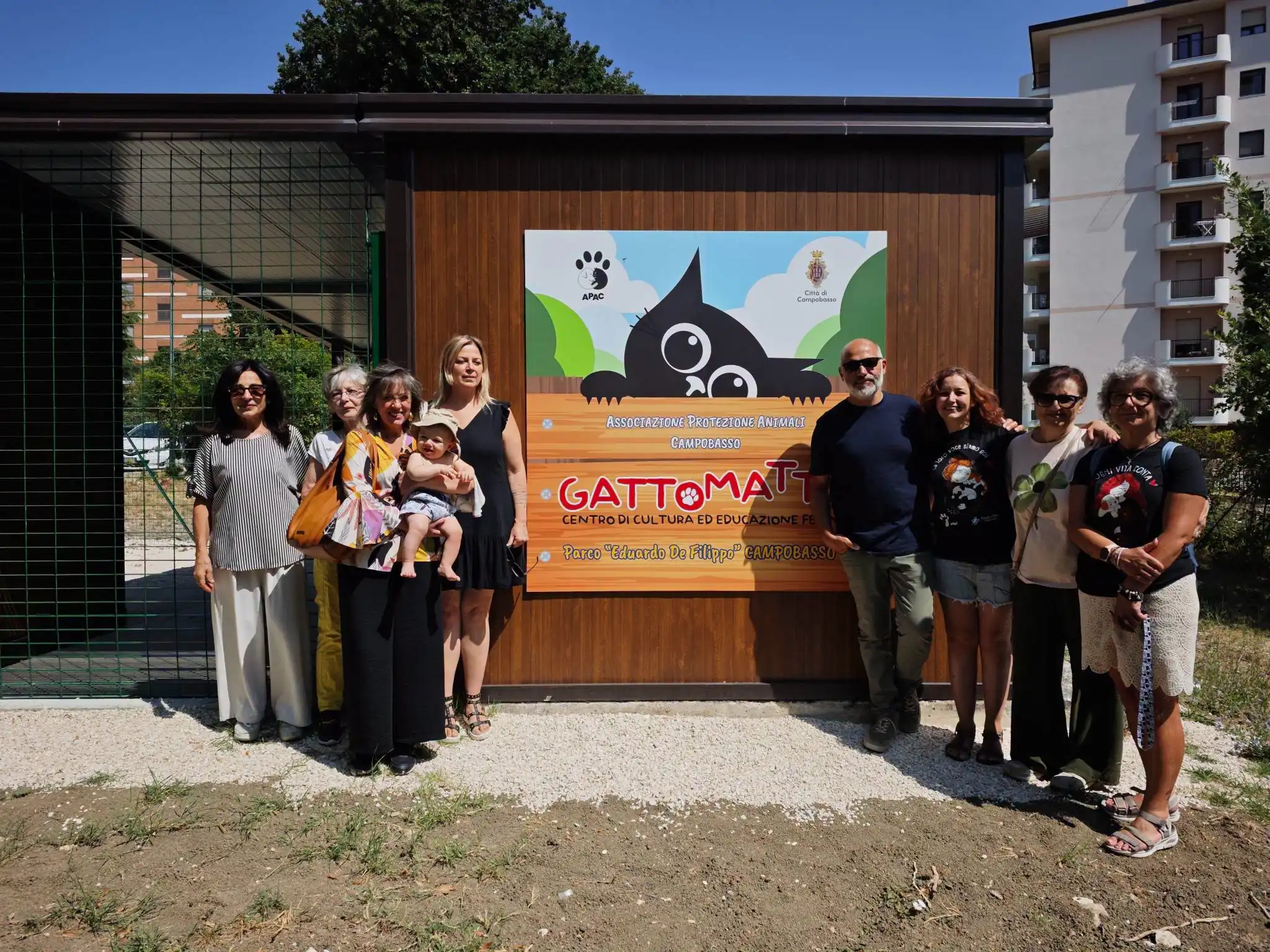 "Gatto Matto", nasce il primo centro di cultura ed educazione felina a Campobasso